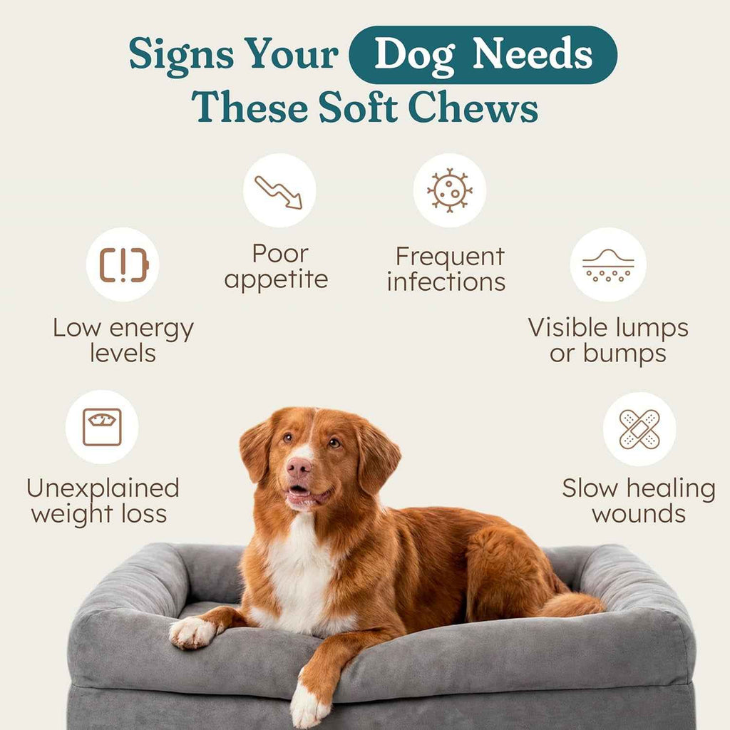 Immune Support Soft Chews for Dogs – Pork Flavor, 30 Count
