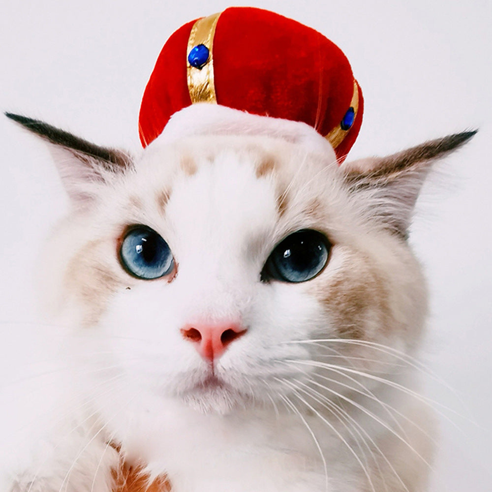 Character Costume Hat for Cats & Small Pets