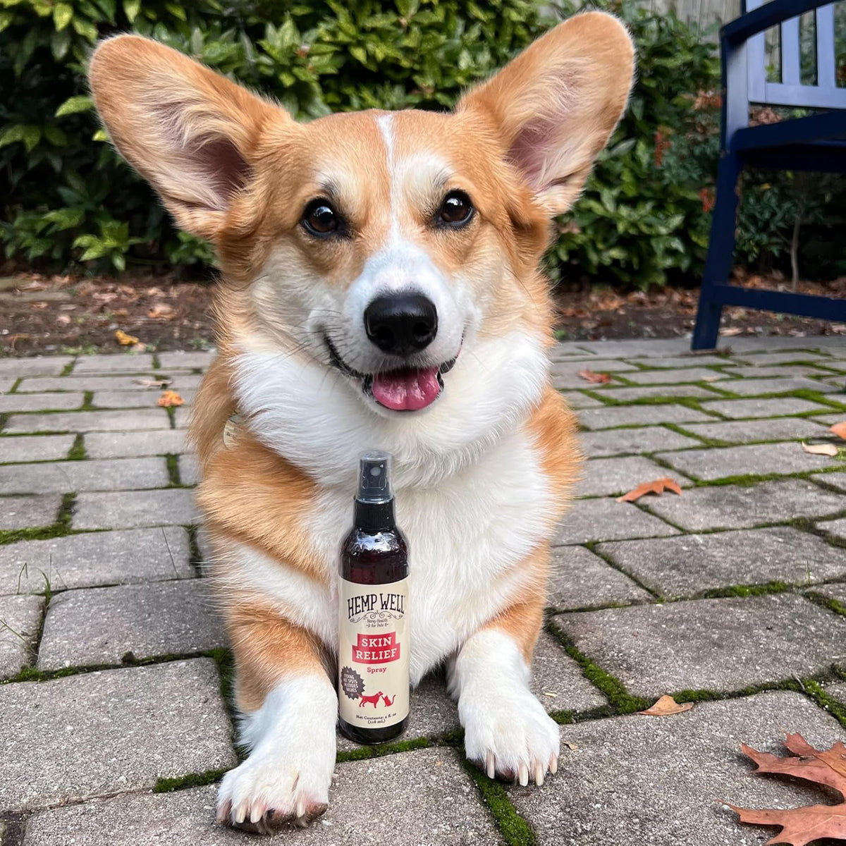Hemp Skin Care Spray for Dogs & Cats
