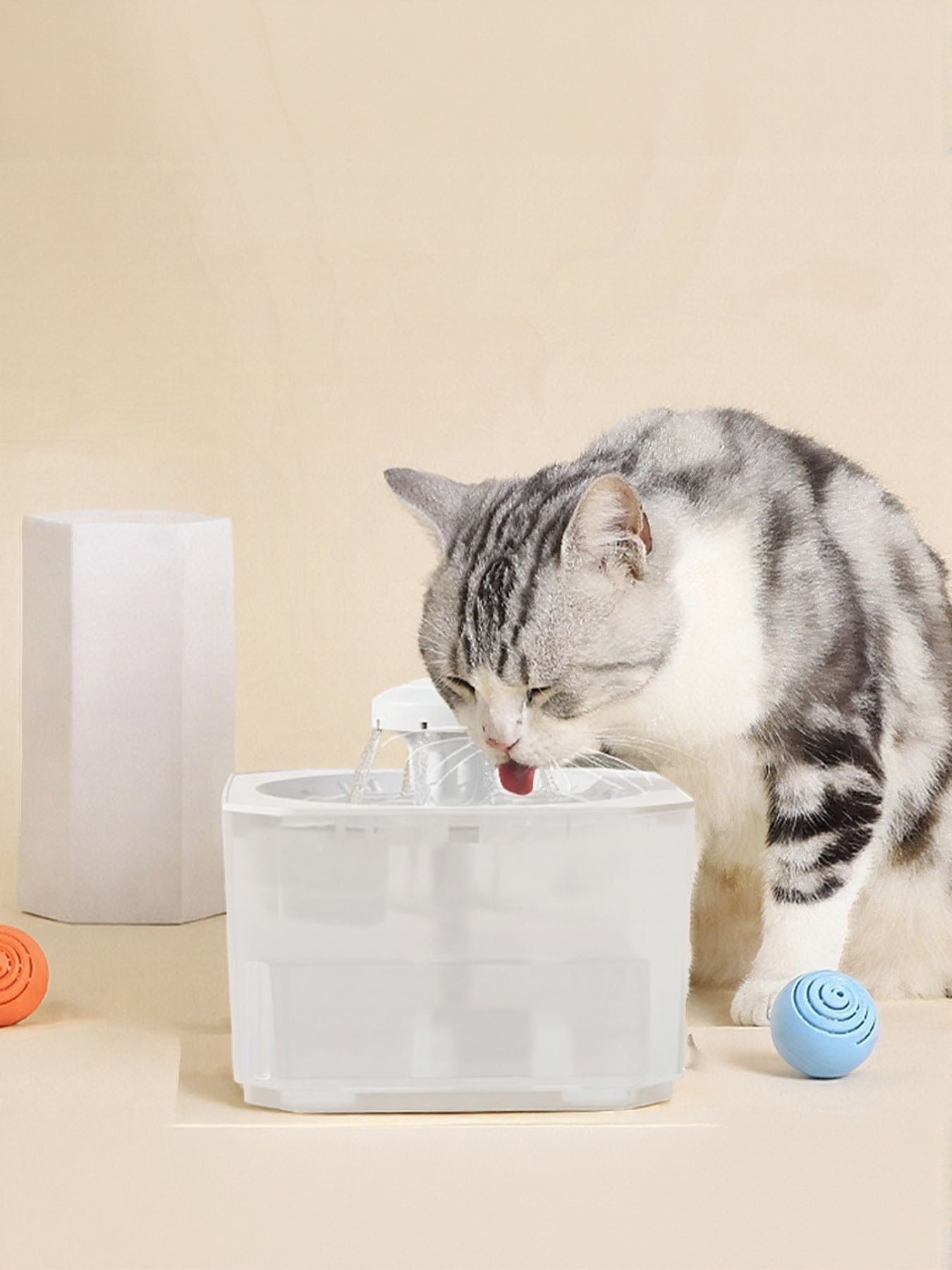 32eb2672-30a0-4f3b-8c9c-89ef993796ee-Max