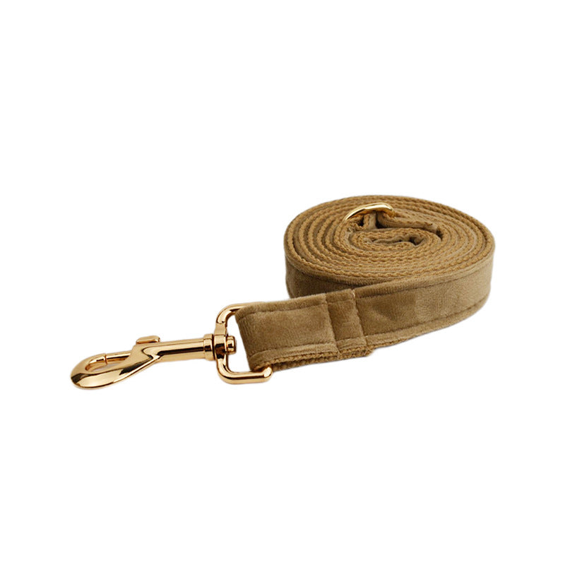 Multi-Style Dog Collar & Accessories