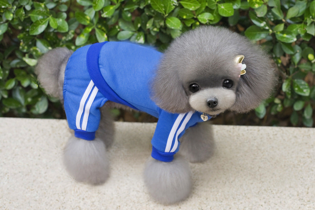 Fleece-Lined Four-Legged Dog Jumpsuit