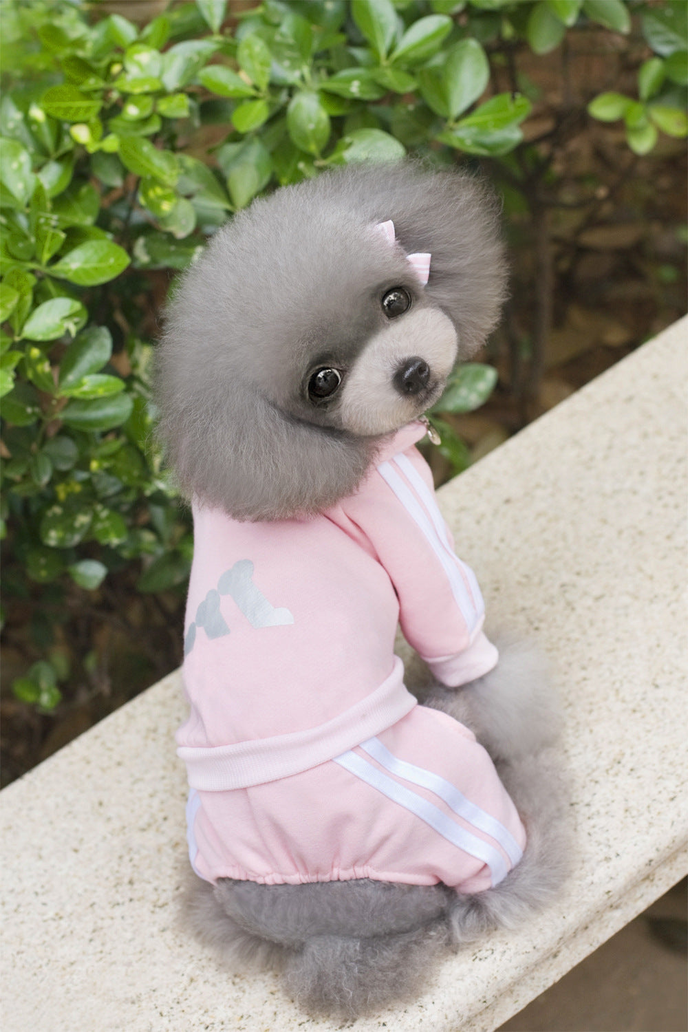 Fleece-Lined Four-Legged Dog Jumpsuit