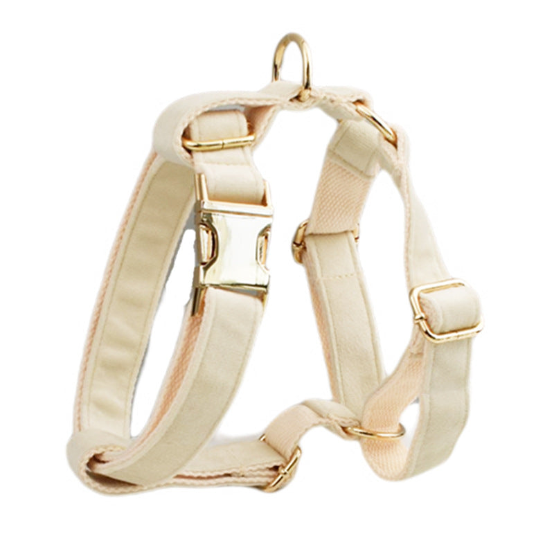 Multi-Style Dog Collar & Accessories