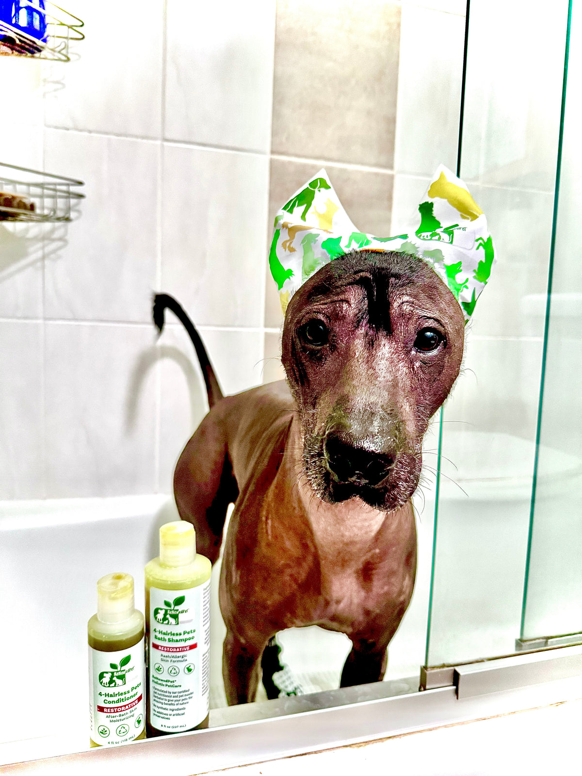 DraculMeow Stretch Pet Ear Cover Cap