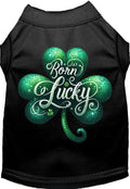 Adorable Cat or Dog Shirt for Pets "A's Born Lucky"