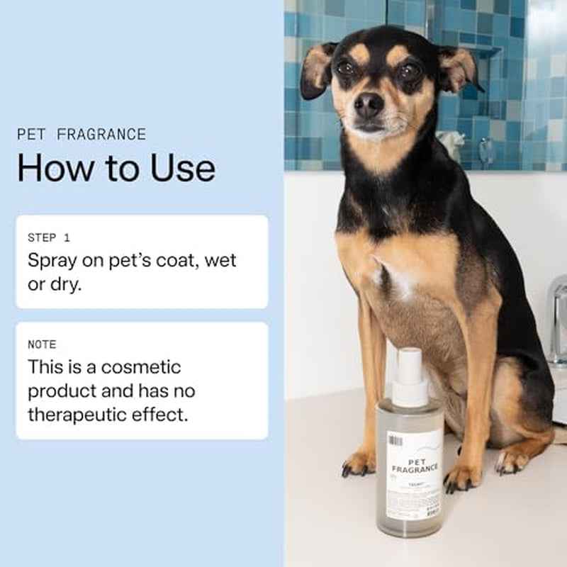DedCool 01 Taunt Dog Shampoo & Fragrance Bundle