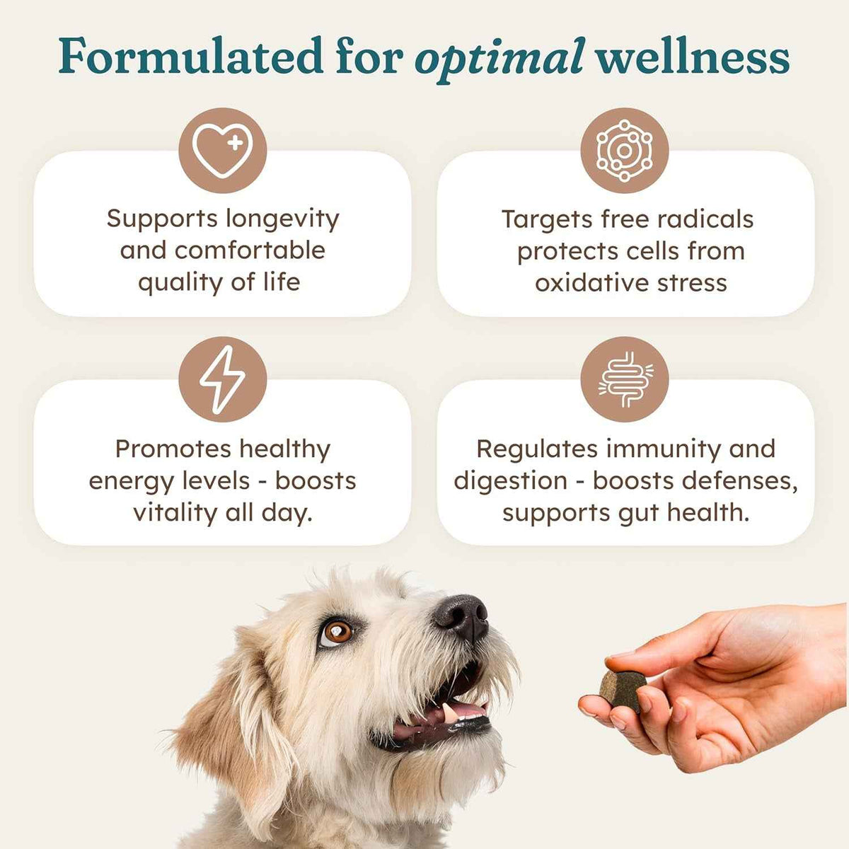 Immune Support Soft Chews for Dogs – Pork Flavor, 30 Count