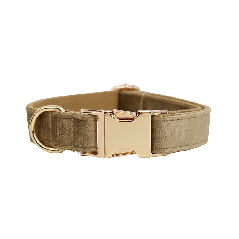 Multi-Style Dog Collar & Accessories