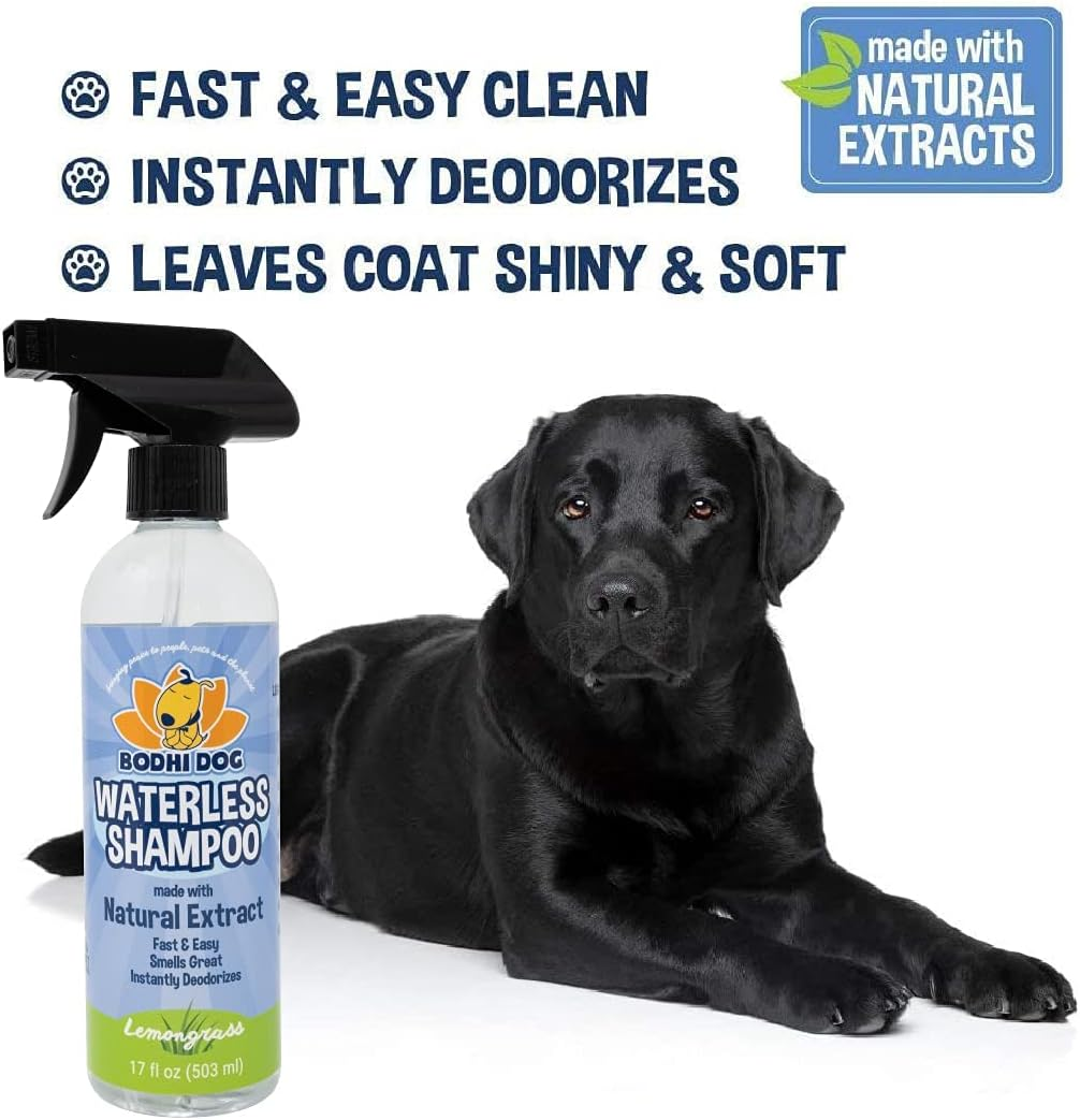 Bodhi Dog Waterless Shampoo for Dogs & Cats
