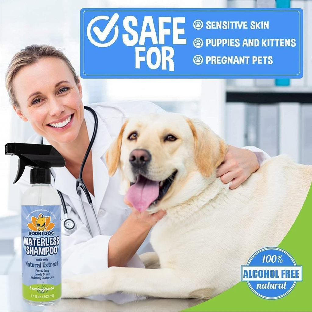 Bodhi Dog Waterless Shampoo for Dogs & Cats