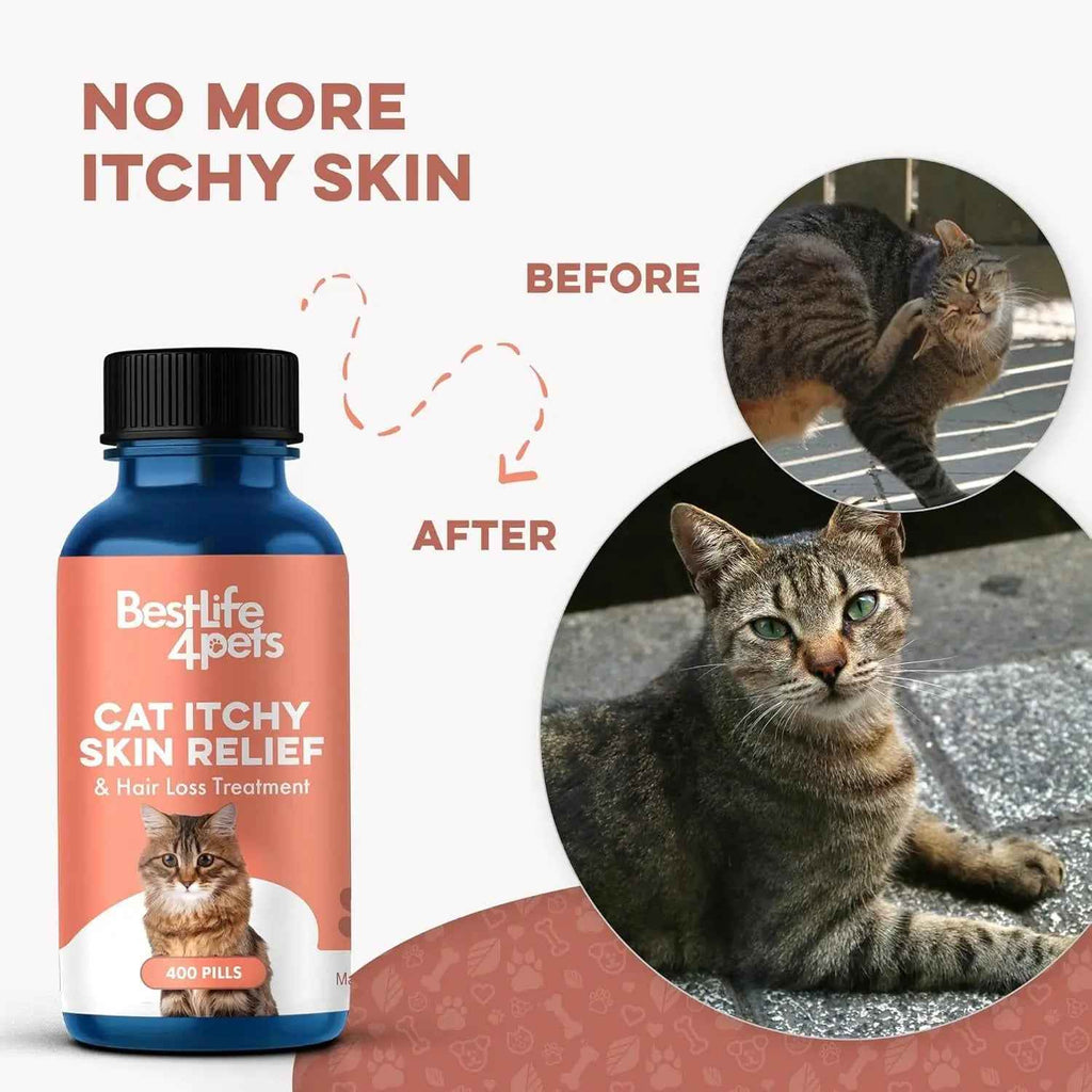 Cat Skin & Coat Support Supplement Tablets