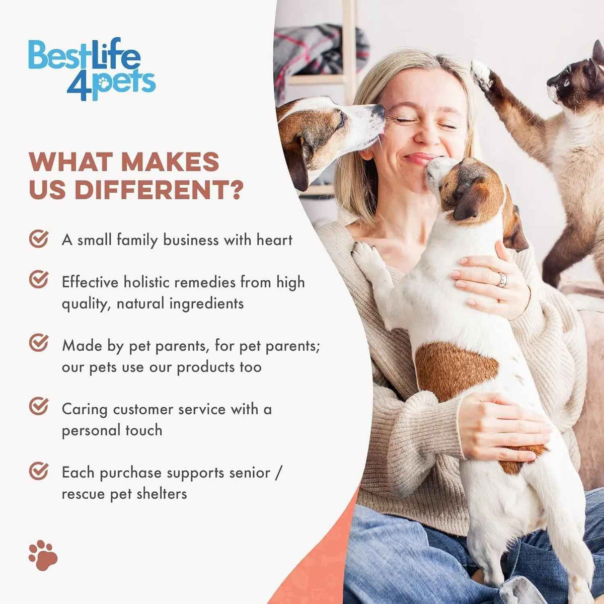 Cat Skin & Coat Support Supplement Tablets