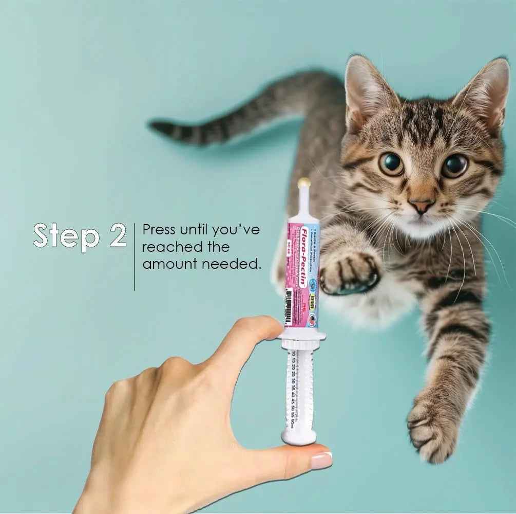 Digestive Support Paste for Dogs & Cats