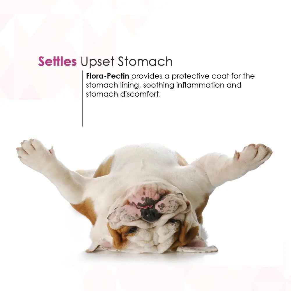 Digestive Support Paste for Dogs & Cats