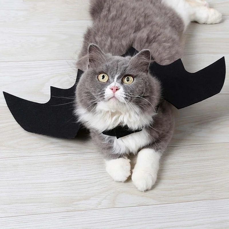 Wholesale Cute Cat Cosplay Costume Black Bat Wings Safety Belt Role Playing Pet Cat Dog Halloween Party Decoration Supplies