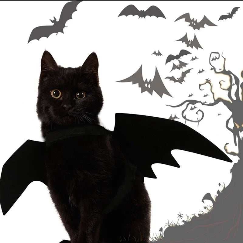 Wholesale Cute Cat Cosplay Costume Black Bat Wings Safety Belt Role Playing Pet Cat Dog Halloween Party Decoration Supplies