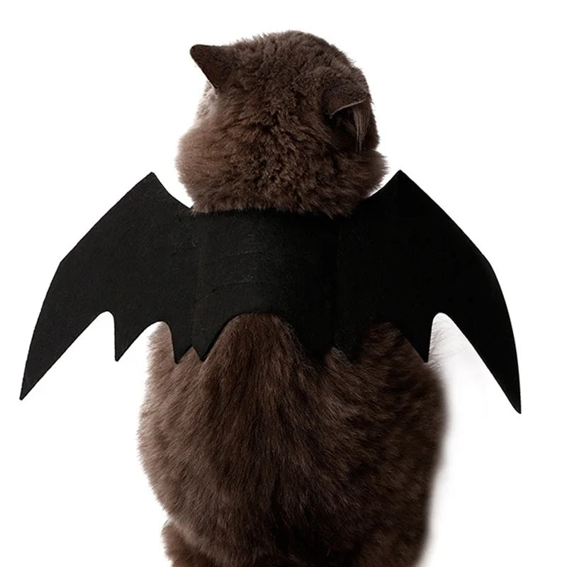 Wholesale Cute Cat Cosplay Costume Black Bat Wings Safety Belt Role Playing Pet Cat Dog Halloween Party Decoration Supplies