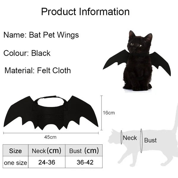 Wholesale Cute Cat Cosplay Costume Black Bat Wings Safety Belt Role Playing Pet Cat Dog Halloween Party Decoration Supplies