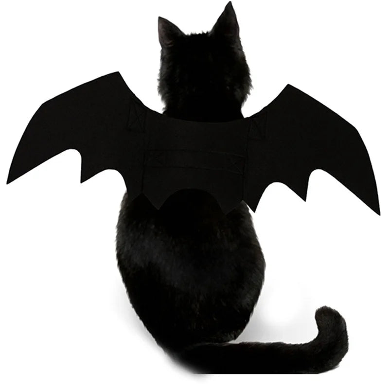 Wholesale Cute Cat Cosplay Costume Black Bat Wings Safety Belt Role Playing Pet Cat Dog Halloween Party Decoration Supplies