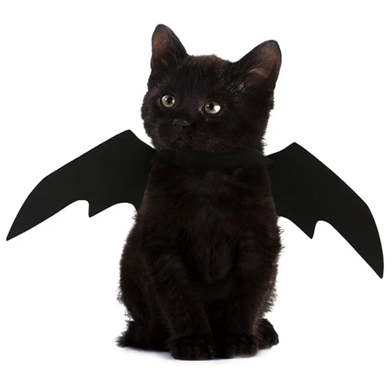 Wholesale Cute Cat Cosplay Costume Black Bat Wings Safety Belt Role Playing Pet Cat Dog Halloween Party Decoration Supplies