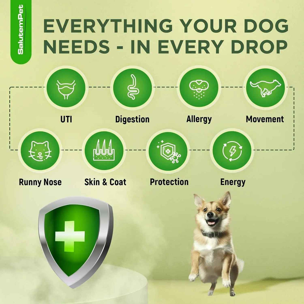 Herbal Wellness Drops for Dogs – 2 oz