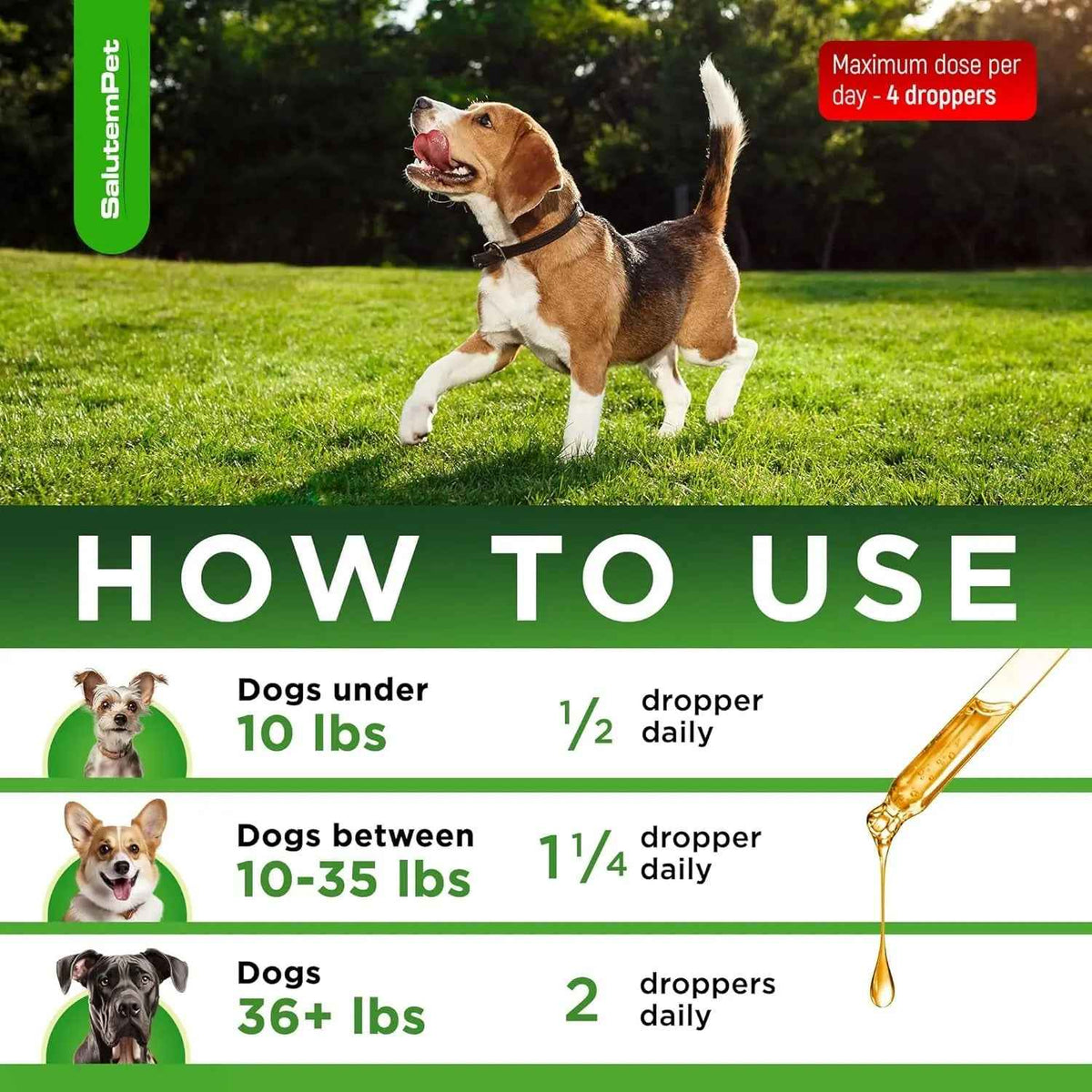 Herbal Wellness Drops for Dogs – 2 oz