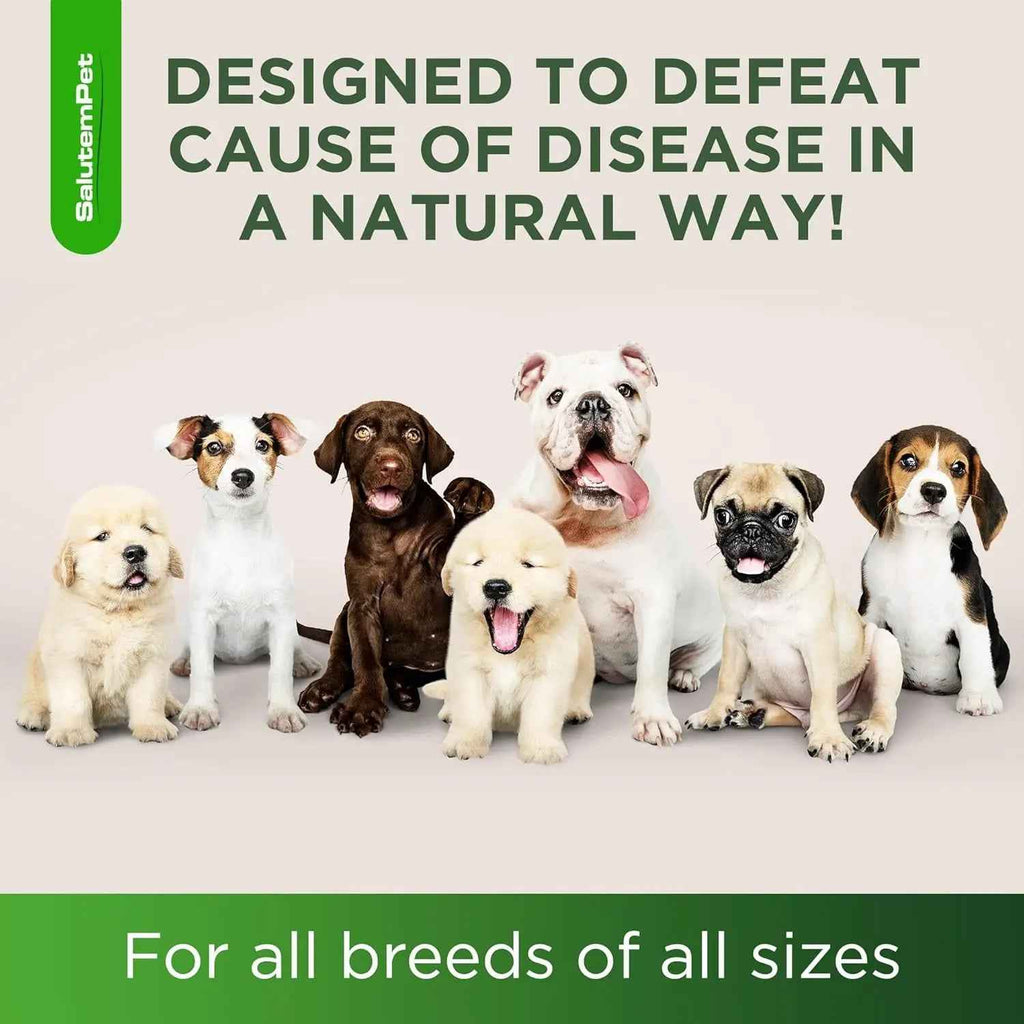 Herbal Wellness Drops for Dogs – 2 oz
