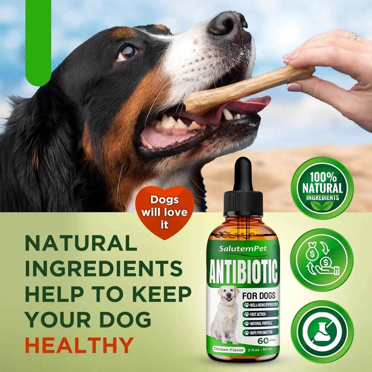Herbal Wellness Drops for Dogs – 2 oz