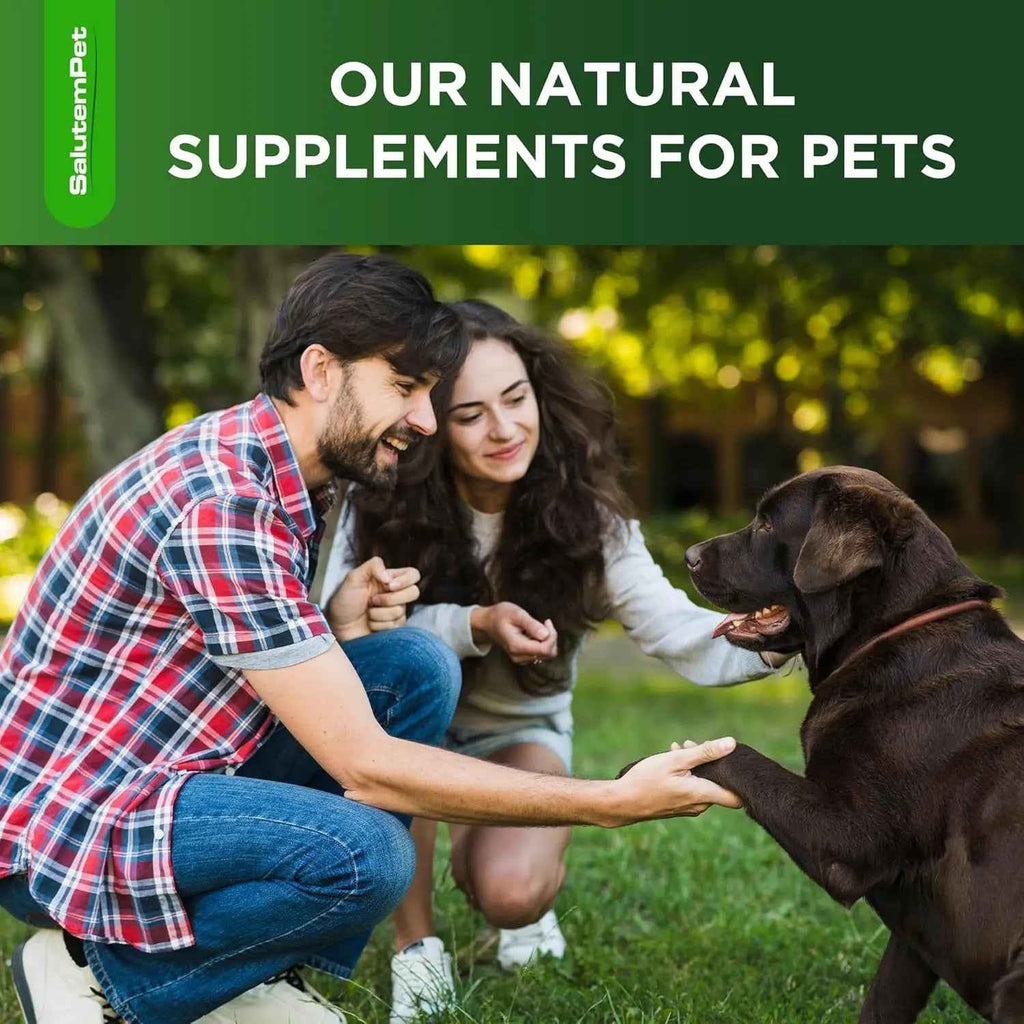 Herbal Wellness Drops for Dogs – 2 oz