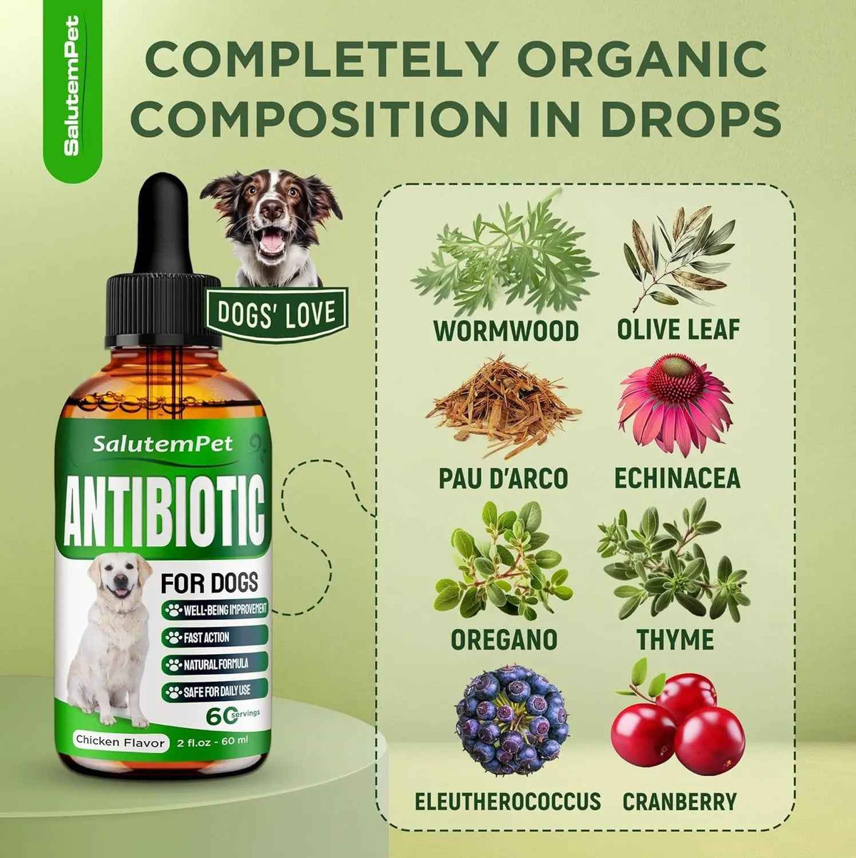Herbal Wellness Drops for Dogs – 2 oz