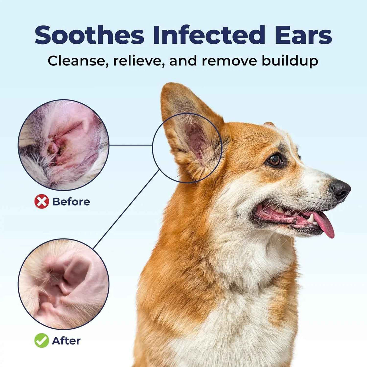 Oticbliss Medicated Ear Flush for Dogs & Cats – 12 oz