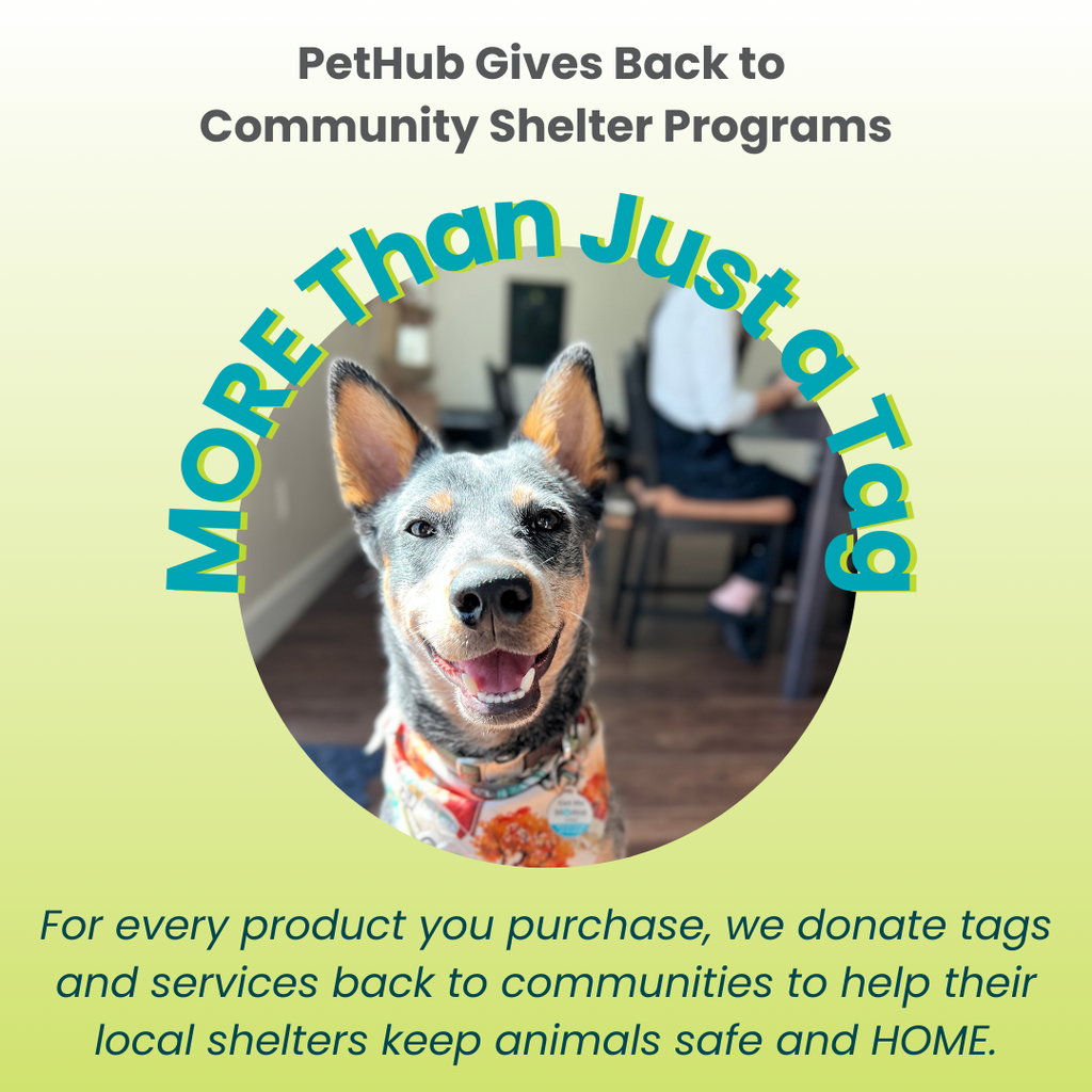 PetHub QR ID Pet Tag - Lost AF