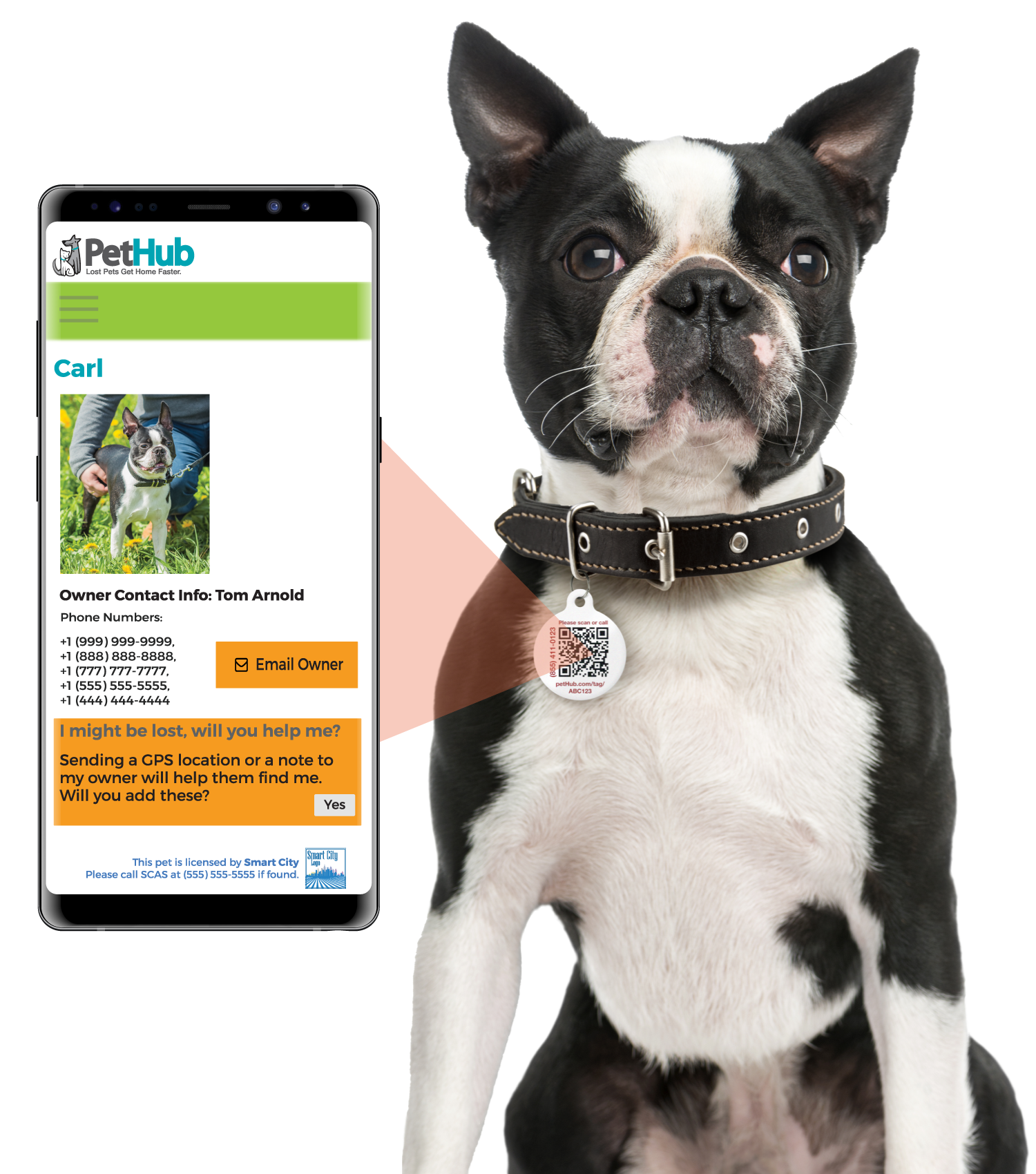 PetHub QR ID Pet Tag - Lost AF