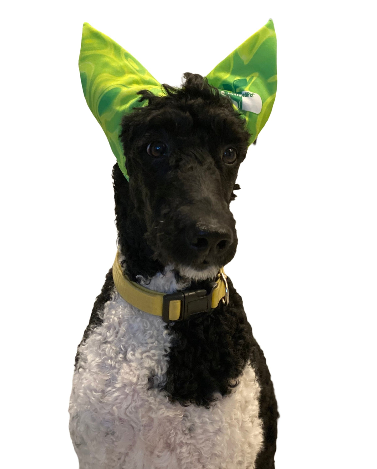 DraculMeow Stretch Pet Ear Cover Cap