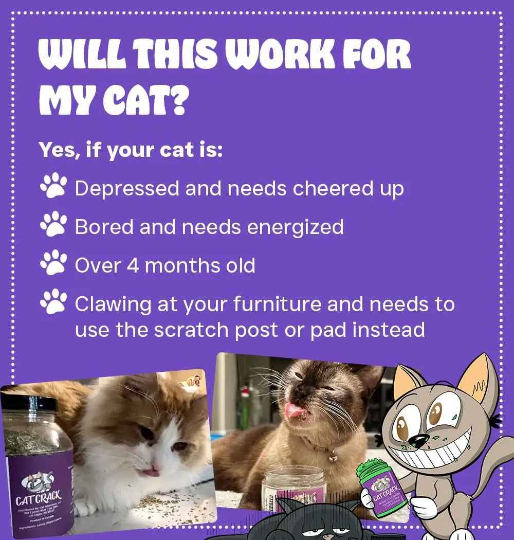 Catnip Blend for Cat Toys & Playtime