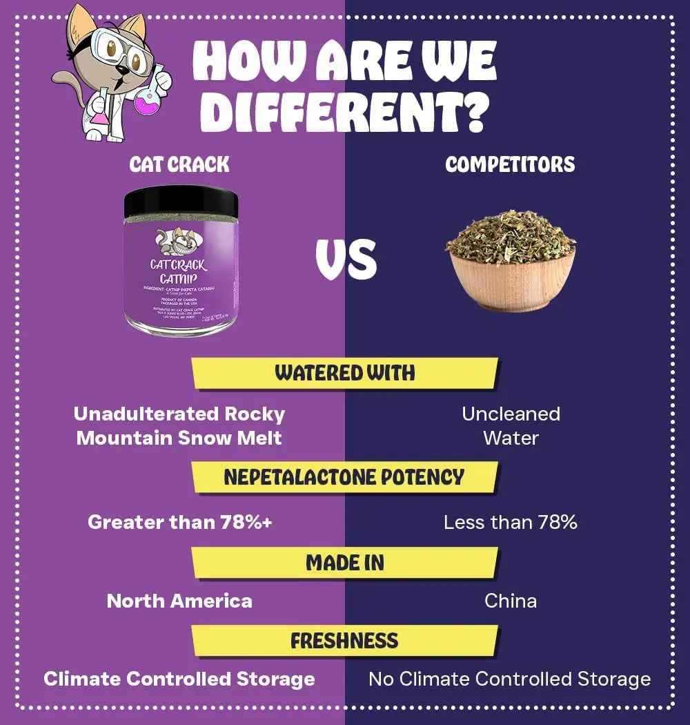 Catnip Blend for Cat Toys & Playtime