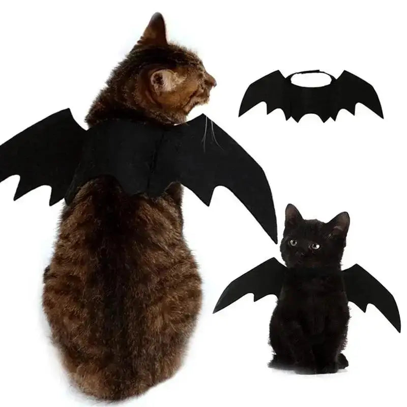 Wholesale Cute Cat Cosplay Costume Black Bat Wings Safety Belt Role Playing Pet Cat Dog Halloween Party Decoration Supplies