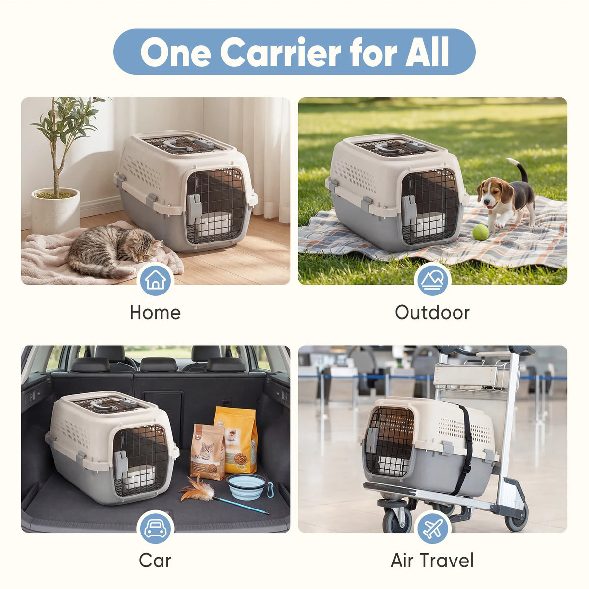 Hard-Sided Pet Carrier with Top & Front Entry