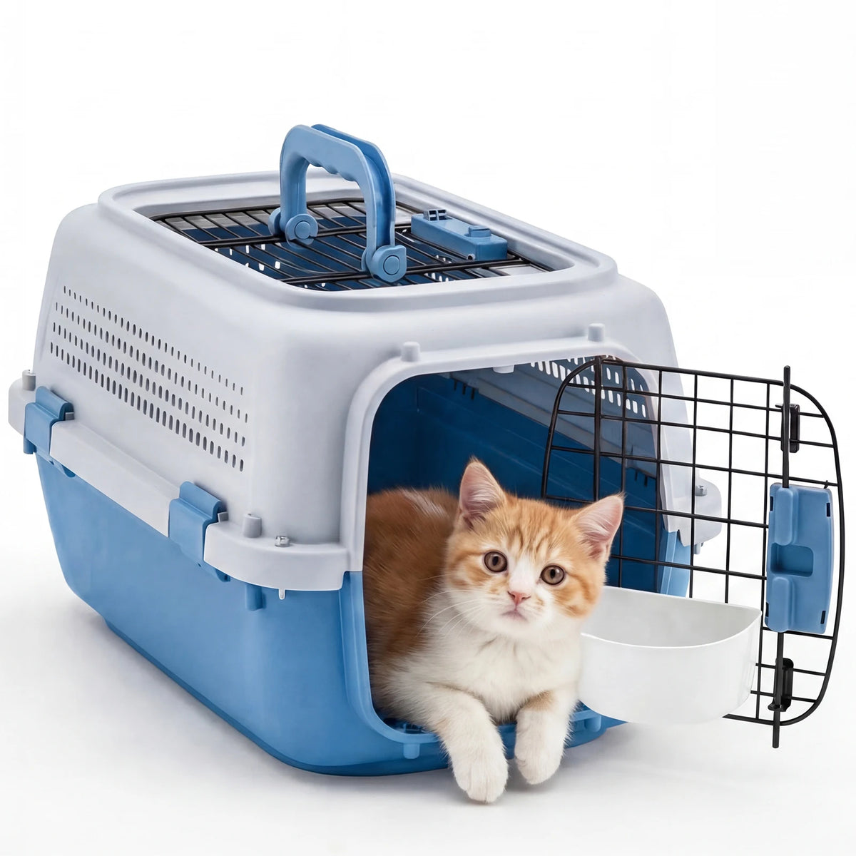 Hard-Sided Pet Carrier with Top & Front Entry