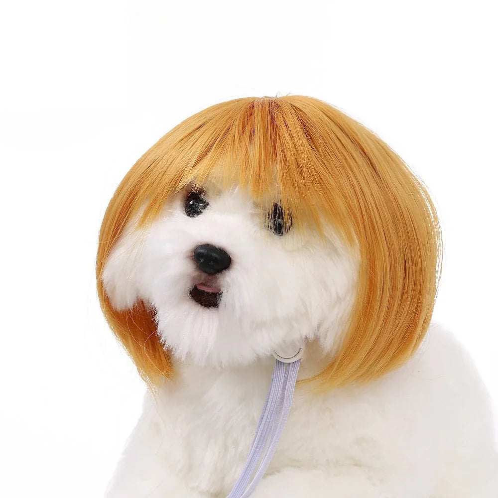 Pet Wig Dog Wig Pet Supplies Halloween Pet Accessories Curly Hair Straight Hair Cat Wig It Can Be DIY Trimmed
