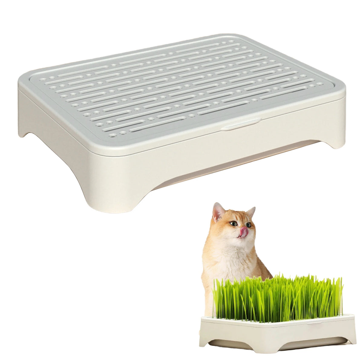 Pet Cat Grass Planting Basin Soilless Culture Wheat Seedling Pot Kitten Grass Hydroponic Device Horticultural Planting Pot