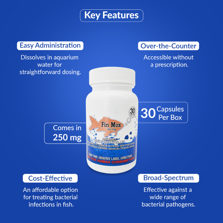Fish Mox 250mg Capsules for Aquarium Fish – Water Care Support