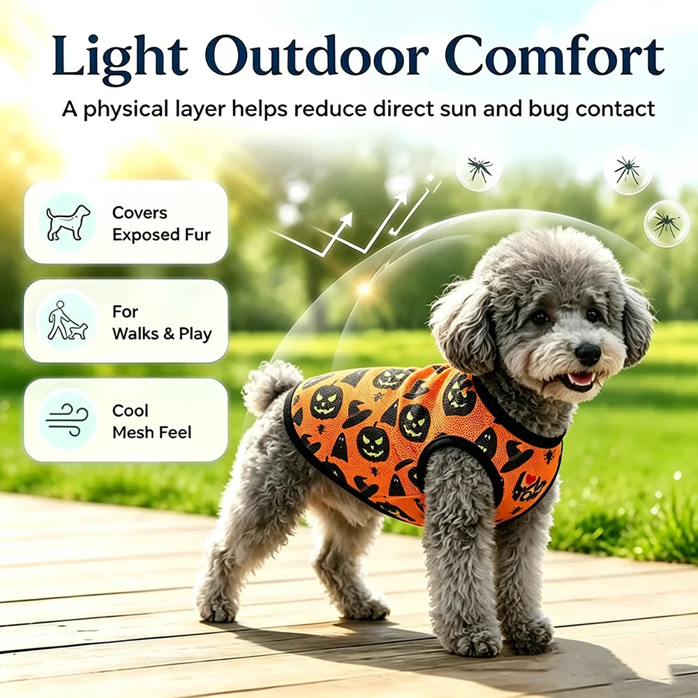 Halloween Pet Vest for Small Medium Dogs Cats Autumn Winter Costume Pumpkin Print Cosplay Outfit Chihuahua Pug French Bulldog