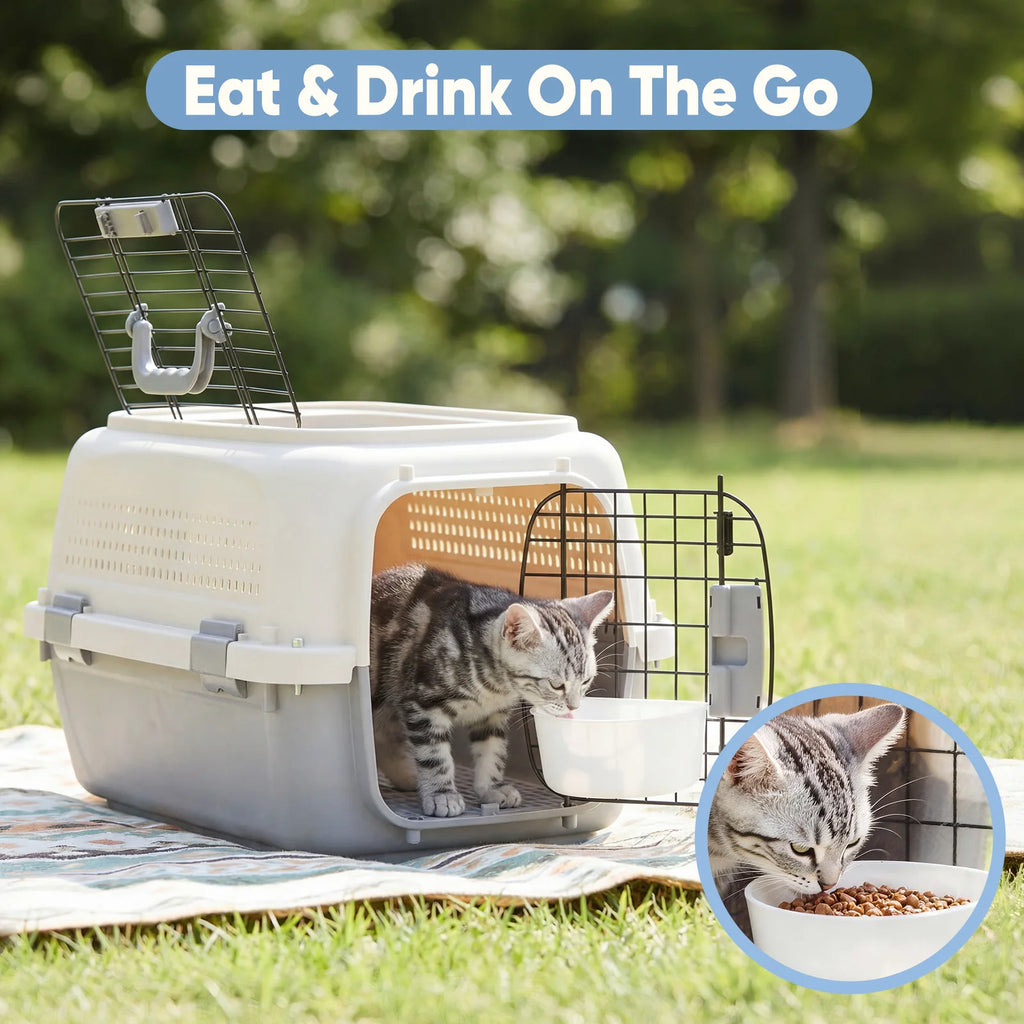 Hard-Sided Pet Carrier with Top & Front Entry