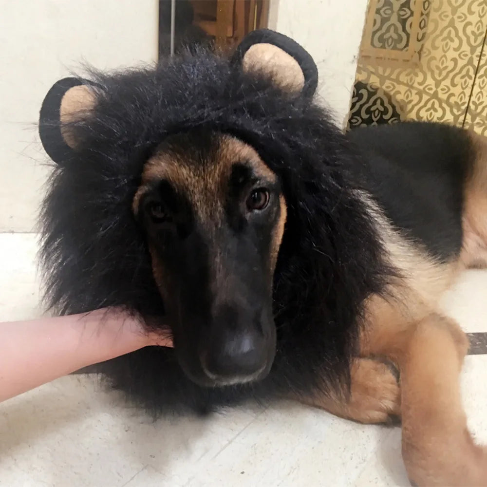 Lion Mane Wig with Ears for Dogs & Cats