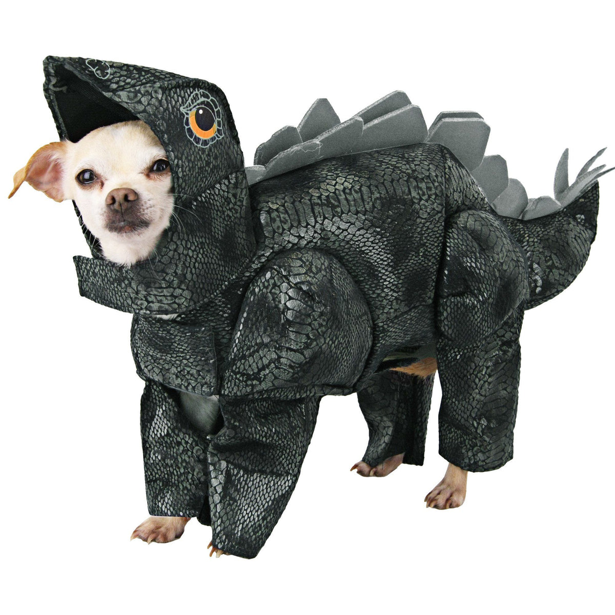 Animal Planet & trade; Stegosaurus Pet Costume
