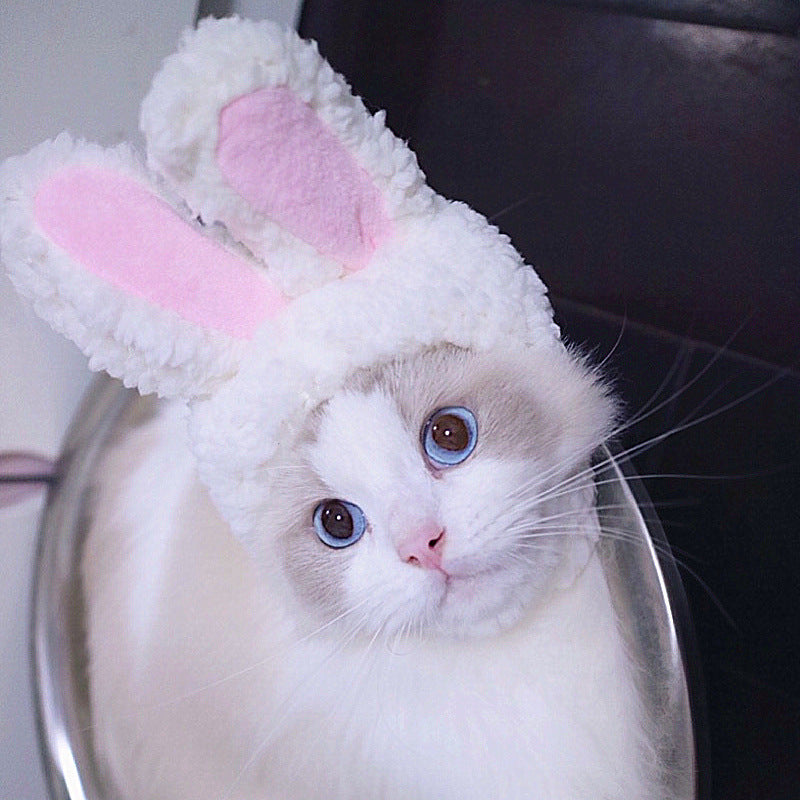 Character Costume Hat for Cats & Small Pets
