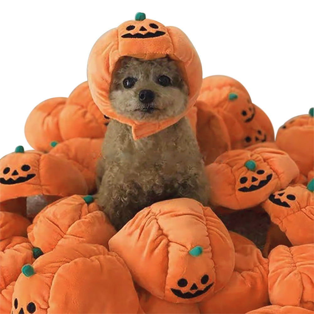 Character Costume Hat for Cats & Small Pets