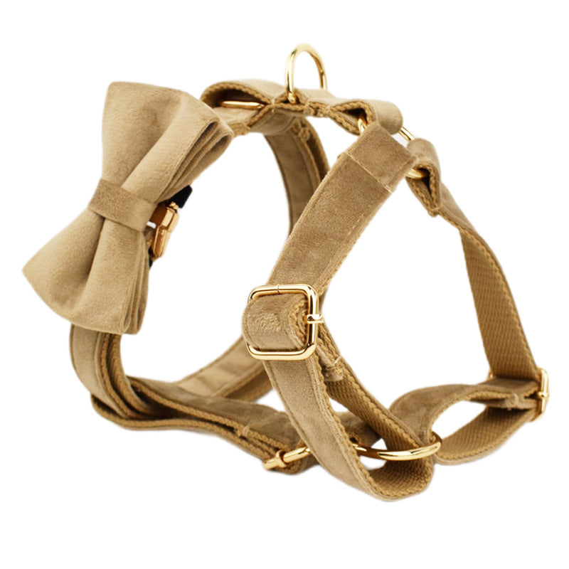 Multi-Style Dog Collar & Accessories